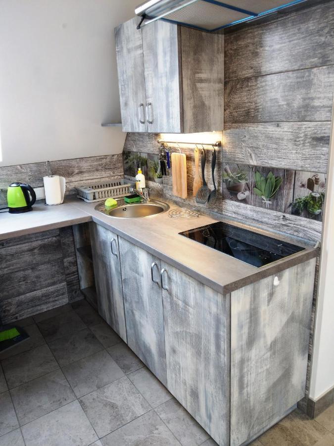 Apartamenty Majerczyk Ζακοπάνε Εξωτερικό φωτογραφία